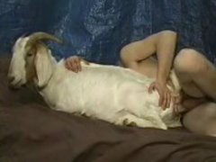 240px x 180px - Dog Taboo - Extreme zoo taboo porn with animals, Abandoned girl ...