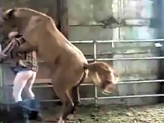 Male bestiailty porn with pony