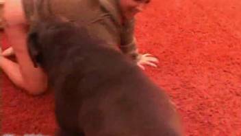 Plump tattooed slut being impregnated by a canine