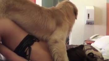 Sexy masked babe ravaged by a super hot stud
